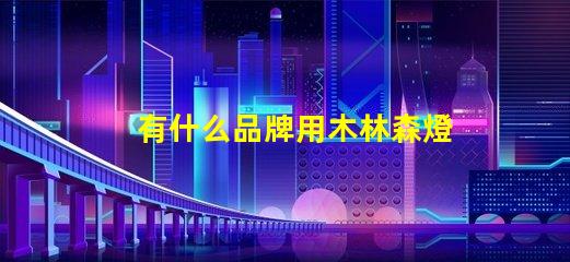 有什么品牌用木林森燈珠的