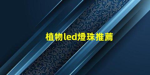植物led燈珠推薦
