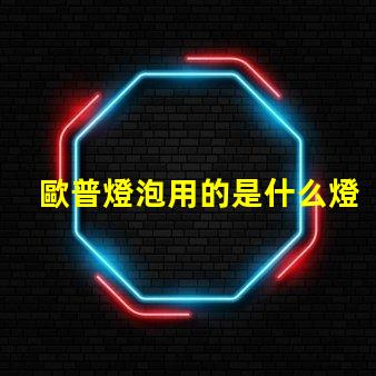 歐普燈泡用的是什么燈珠