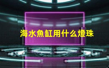 海水魚缸用什么燈珠