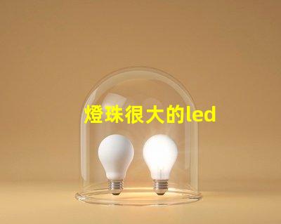 燈珠很大的led