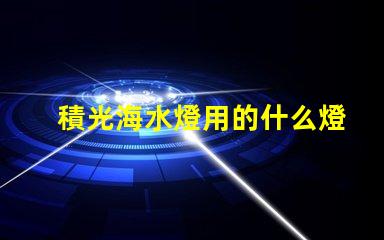 積光海水燈用的什么燈珠