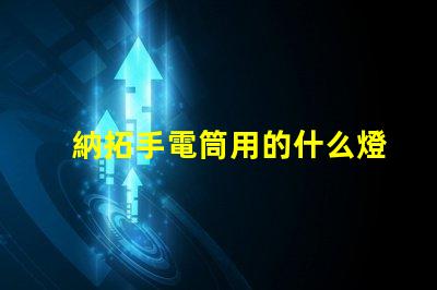 納拓手電筒用的什么燈珠