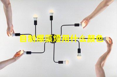 自制爆藻燈用什么顏色燈珠