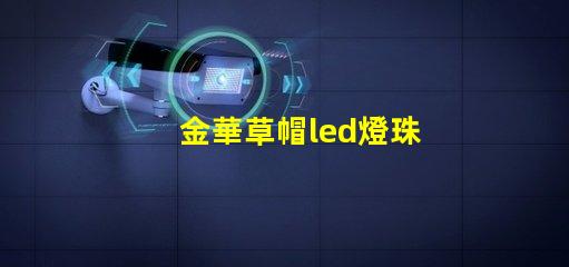 金華草帽led燈珠
