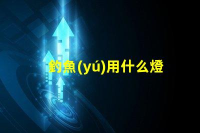釣魚(yú)用什么燈珠好