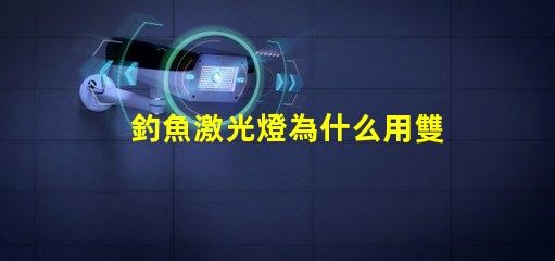 釣魚激光燈為什么用雙燈珠