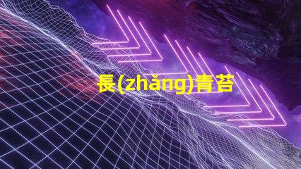 長(zhǎng)青苔用什么燈珠