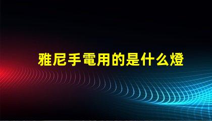 雅尼手電用的是什么燈珠