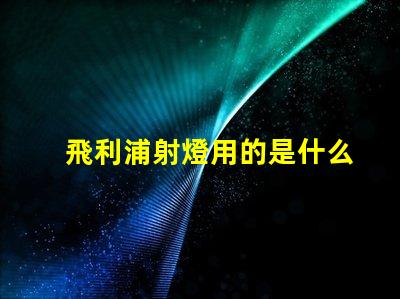 飛利浦射燈用的是什么燈珠