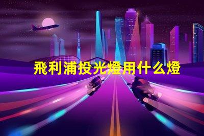 飛利浦投光燈用什么燈珠