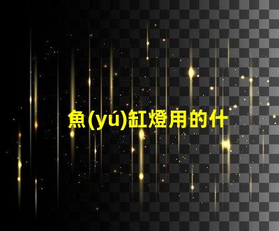魚(yú)缸燈用的什么燈珠
