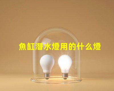 魚缸潛水燈用的什么燈珠