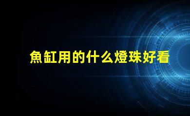 魚缸用的什么燈珠好看耐用