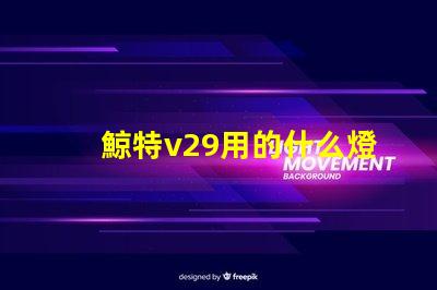 鯨特v29用的什么燈珠