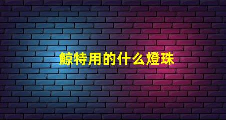 鯨特用的什么燈珠